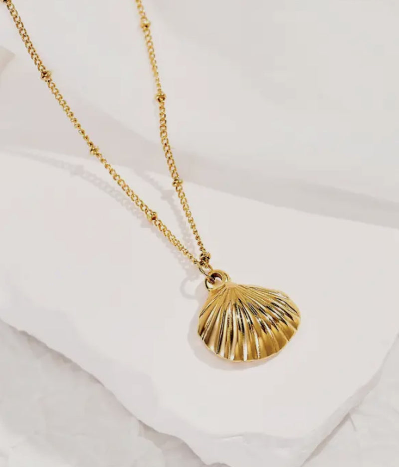 Beachy Shell Necklace